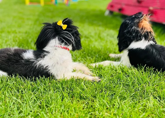 Σπίτι διακοπών House